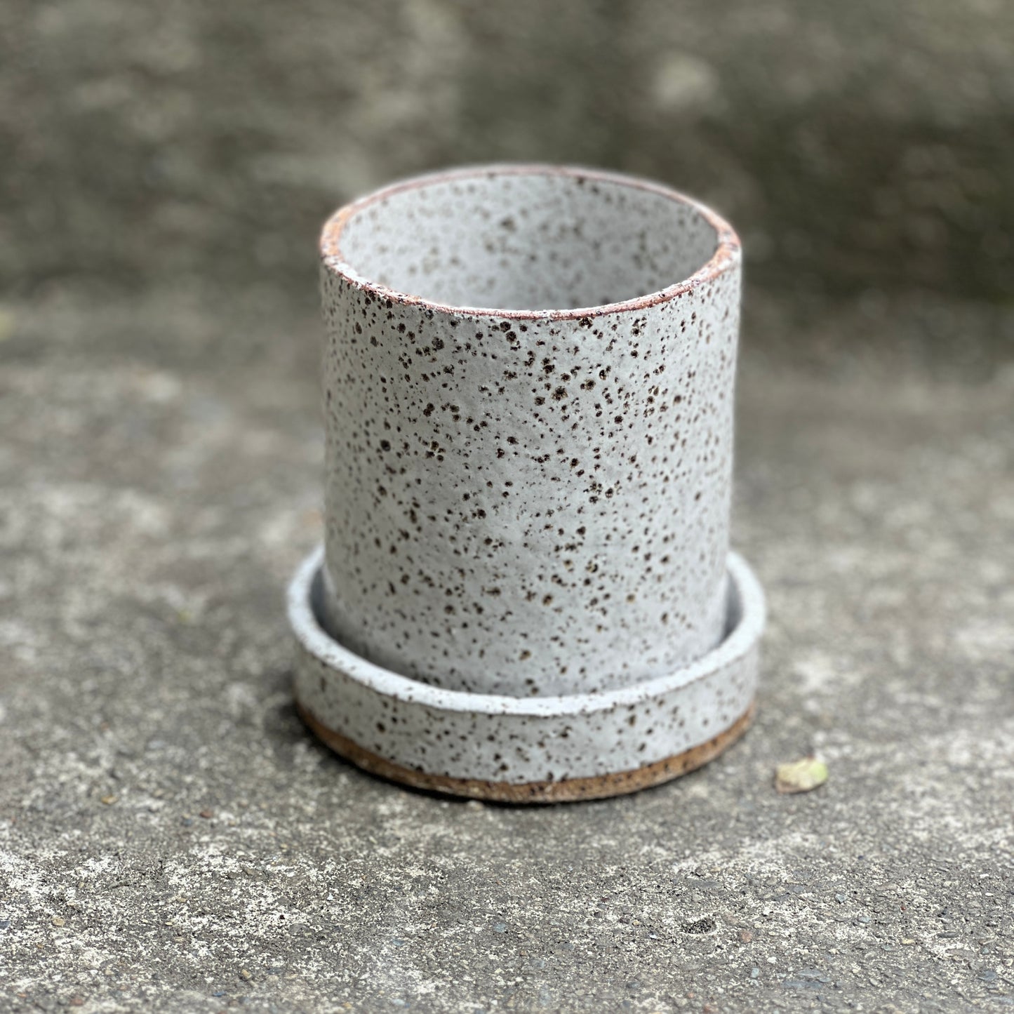 T1/25 Beginners Pottery Evening Course - Tuesday