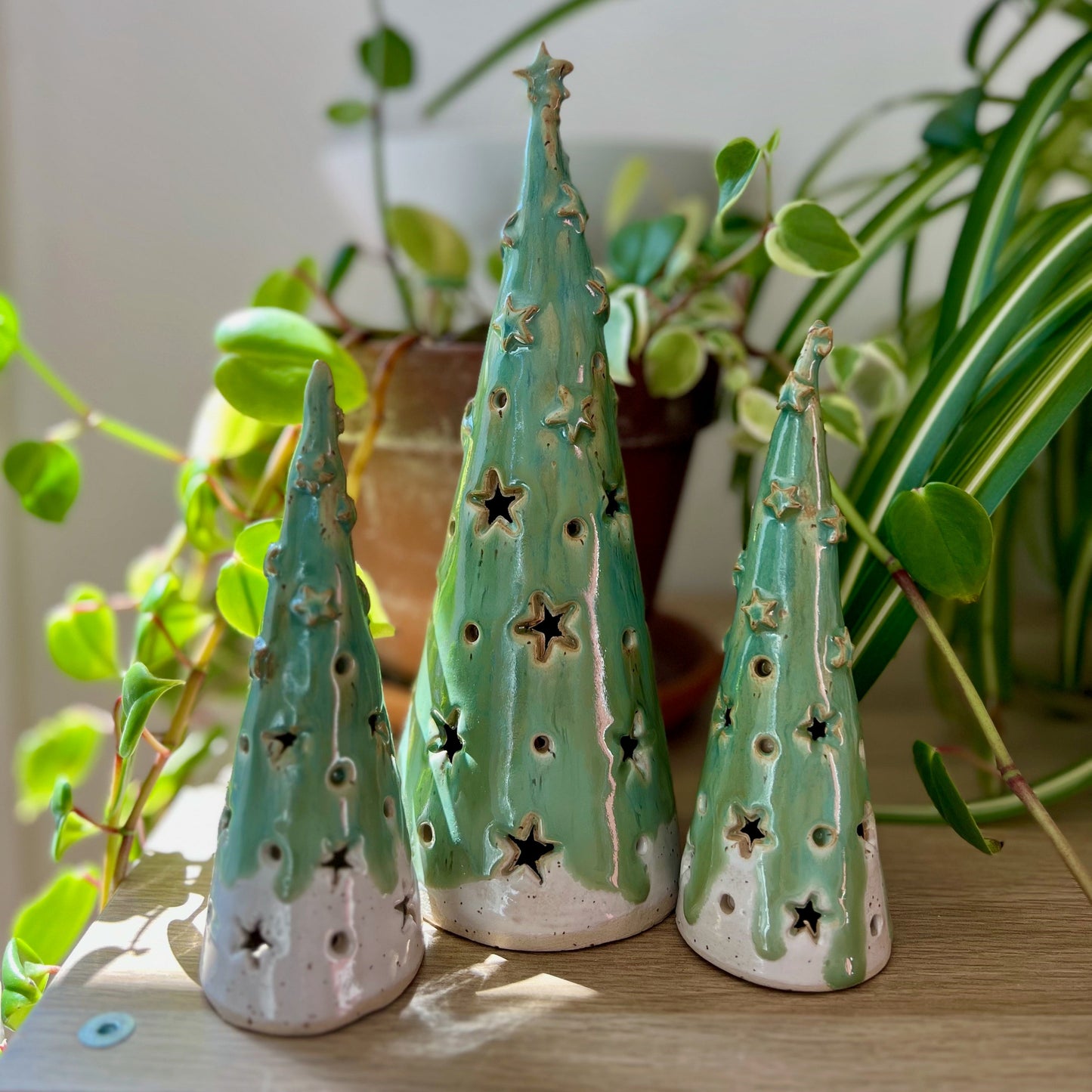 Twizel 20 Sept/25 - Christmas tree ‘T’ lights. 1 spot left!
