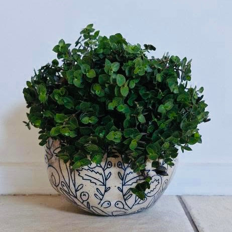 Term 4/25 Pottery Evening Course - Thursday