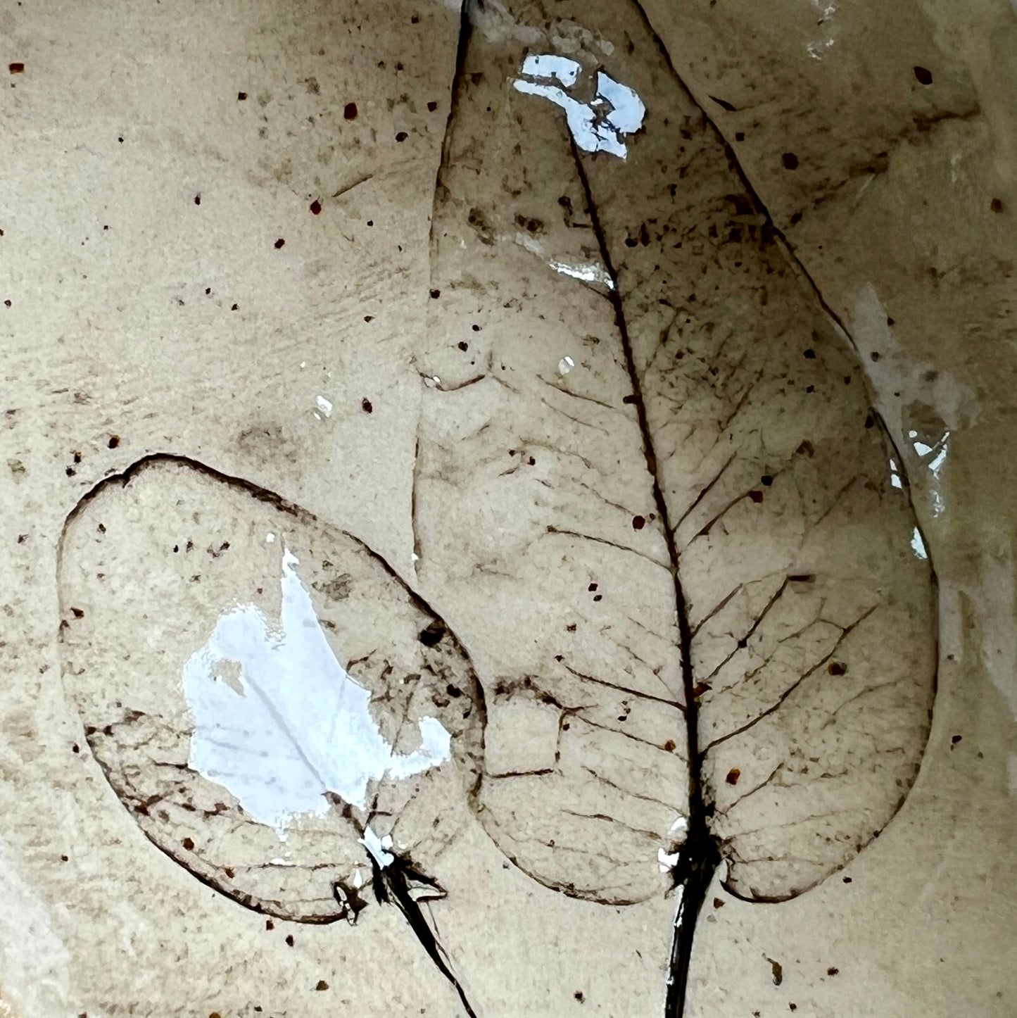 T1/26 Tues Pottery Eve Class - part 2