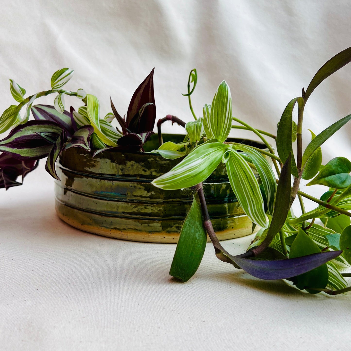 Term 4/25 Pottery Evening Course - Thursday
