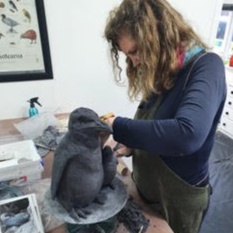 Sea Week Penguin Workshop - Sunday 9 March 9.30 - 11.30 am